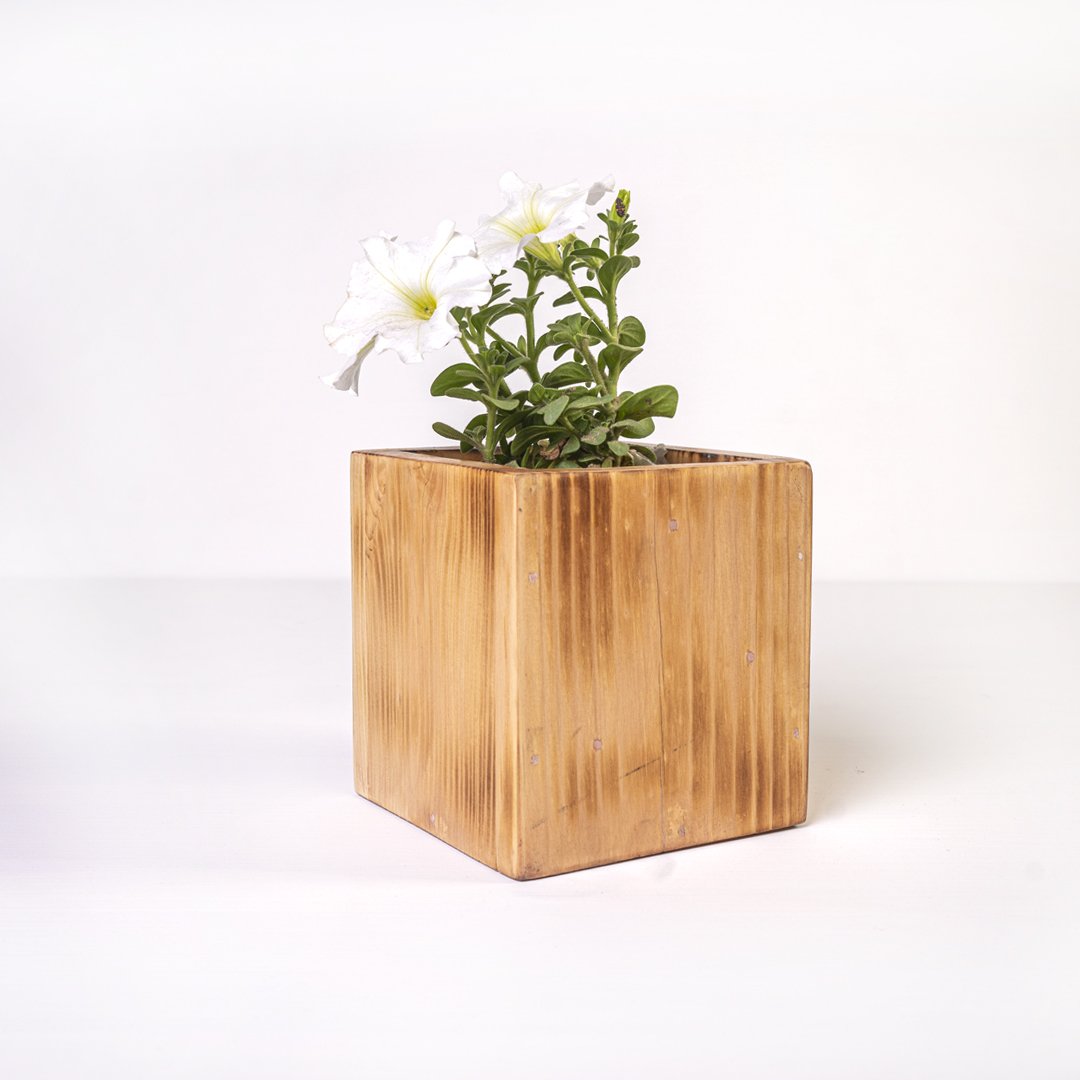 Planter Dixie - waseeh.com