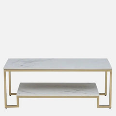 Waarvy Living Lounge Rectangle Coffee Centre Table